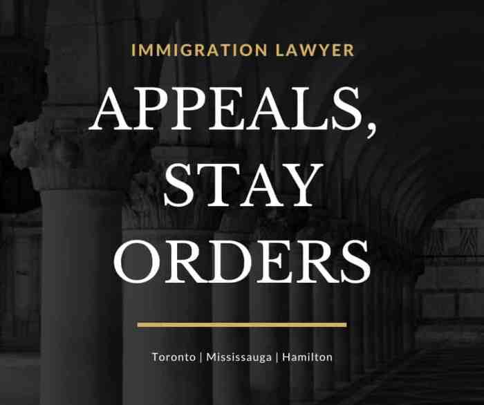 Immigration canadian lawyer life