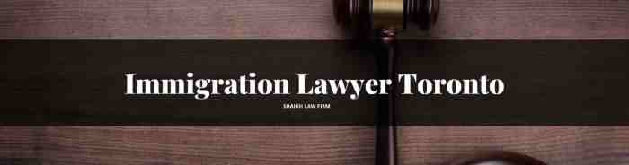 Immigration lawyer