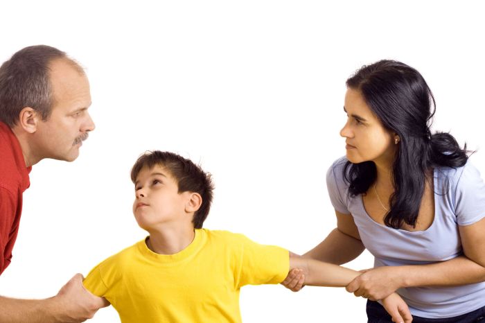 Child custody vancouver attorney overstimulation washington serving state law family coping