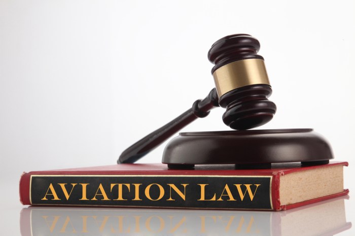 Law aviation firm transactional overview business contact