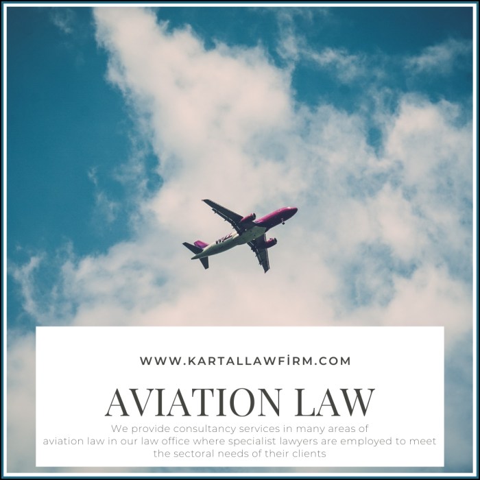 Law aviation firm transactional overview business contact