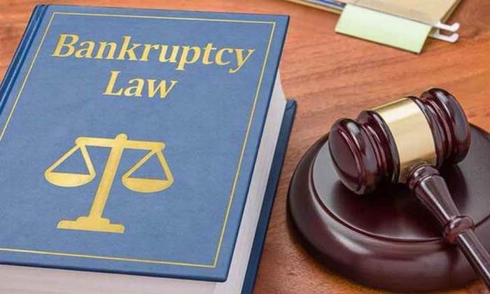 Bankruptcy reasons common lawyer comments