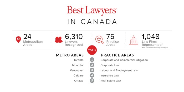 Best labour lawyer in canada