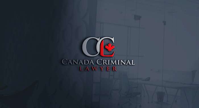 Criminal defense lawyer trial jury legal