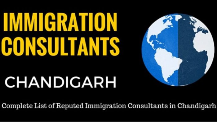 Resume immigration lawyer example sample examples legal use pdf cvs