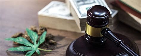 cannabis law attorney