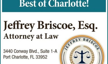 briscoe attorney at law