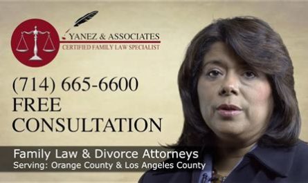 best family law attorneys in oakland county michigan