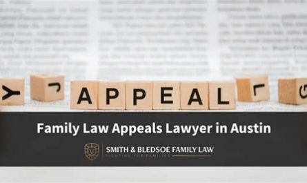 austin family law appeal attorney