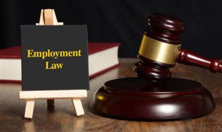 attorneys that handle employment law