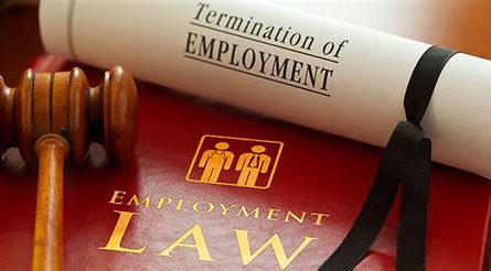 attorneys who practice just employment law