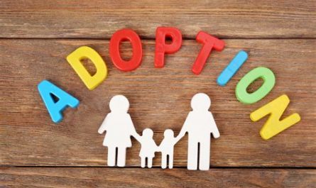 attorneys that specialize in adoption law wisconsin