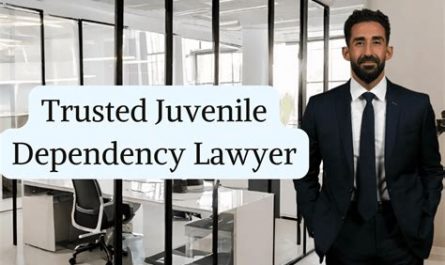 dependency law attorney