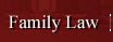 clay county family law attorneys