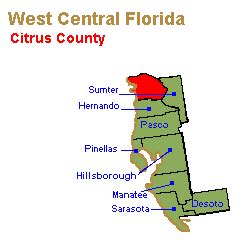 citrus county family law attorney