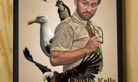 charlie kelly attorney at bird law