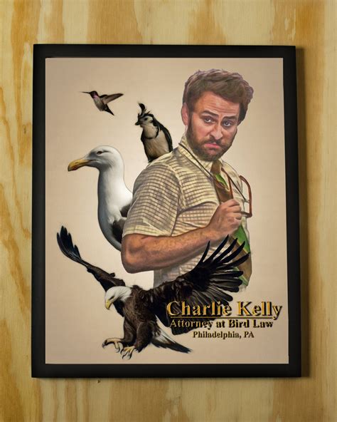 charlie kelly attorney at bird law