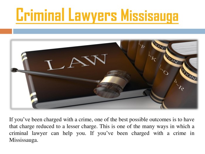 Best Criminal Lawyer in Canada A Comprehensive Guide