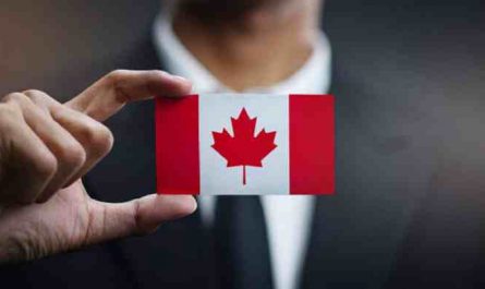 Best Indian Immigration Lawyer in Canada