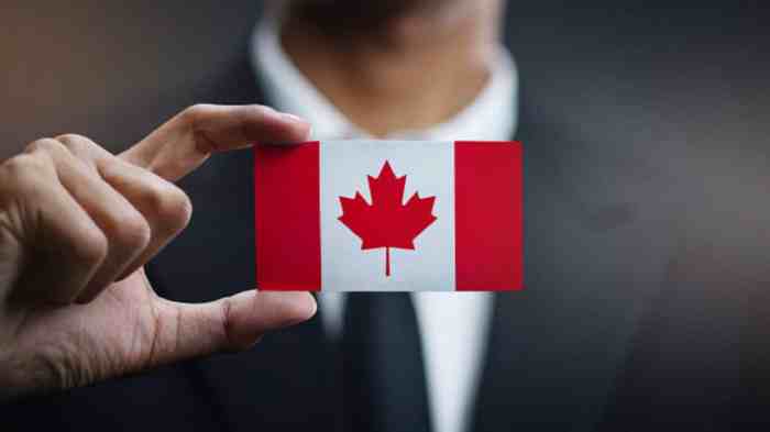 Best Indian Immigration Lawyer in Canada