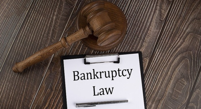 Bankruptcy Law Attorney Mandeville Your Guide