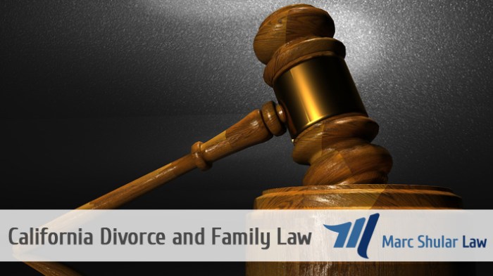 Berkeley County Family Law Attorney Your Guide