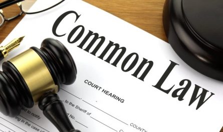 B. Commons David Attorney at Law Legal Expertise