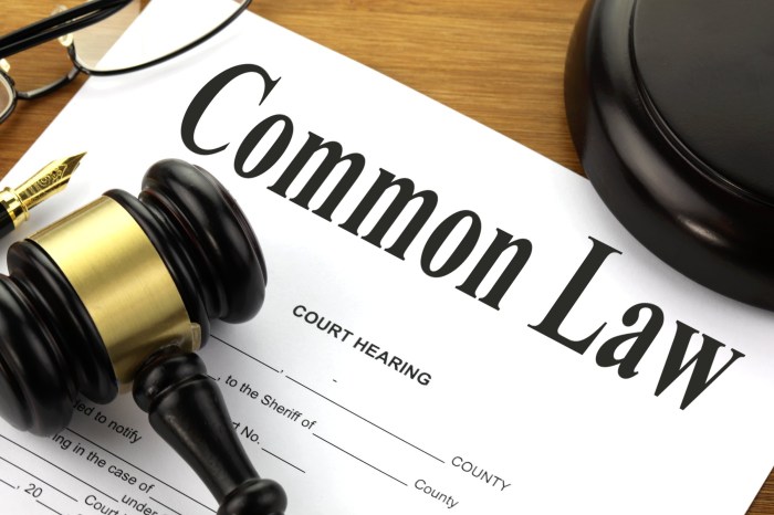 B. Commons David Attorney at Law Legal Expertise